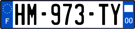 HM-973-TY