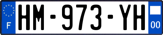 HM-973-YH