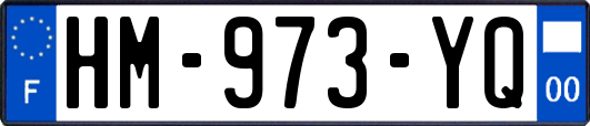 HM-973-YQ