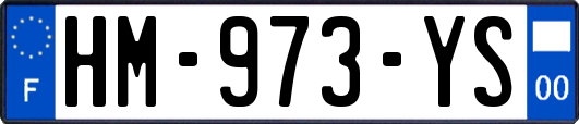 HM-973-YS
