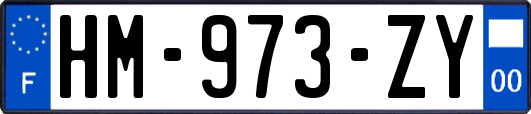 HM-973-ZY