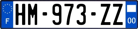 HM-973-ZZ