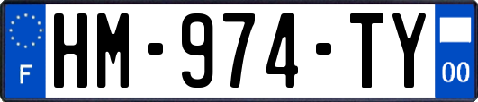 HM-974-TY