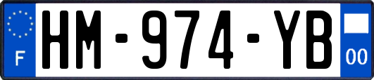 HM-974-YB