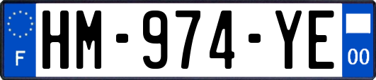 HM-974-YE