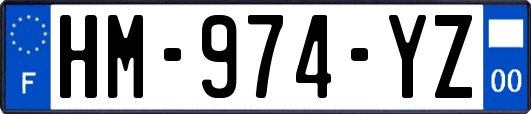 HM-974-YZ