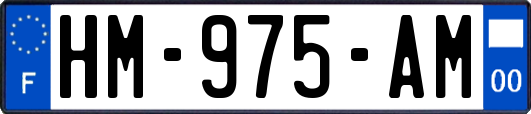 HM-975-AM