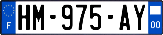 HM-975-AY