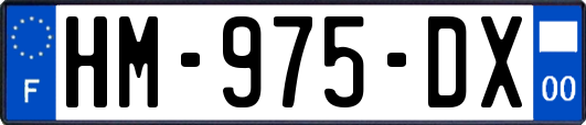 HM-975-DX