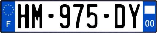 HM-975-DY