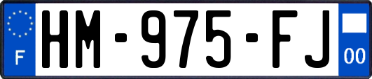 HM-975-FJ
