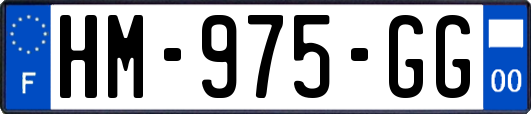 HM-975-GG