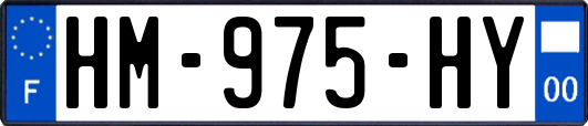 HM-975-HY
