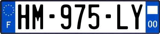 HM-975-LY