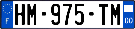 HM-975-TM