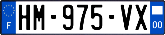 HM-975-VX