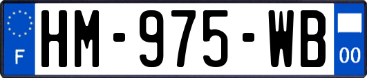 HM-975-WB