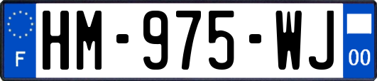 HM-975-WJ