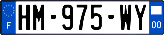 HM-975-WY