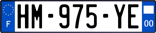HM-975-YE