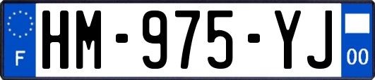 HM-975-YJ
