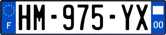 HM-975-YX