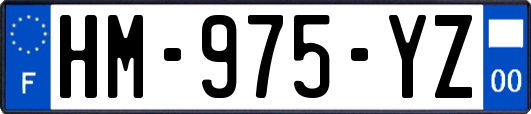 HM-975-YZ