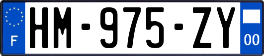 HM-975-ZY