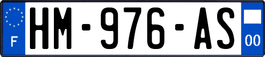 HM-976-AS