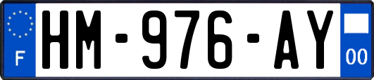 HM-976-AY