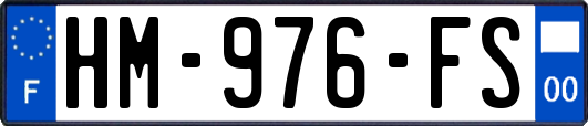 HM-976-FS