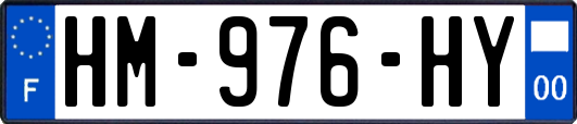 HM-976-HY