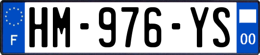 HM-976-YS