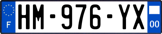 HM-976-YX