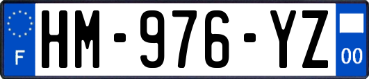 HM-976-YZ