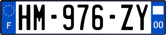 HM-976-ZY