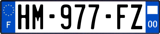 HM-977-FZ