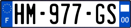 HM-977-GS