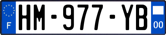 HM-977-YB