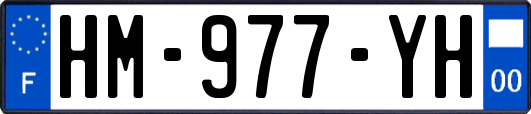 HM-977-YH