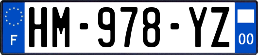 HM-978-YZ