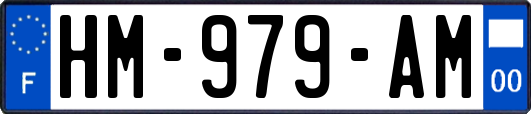 HM-979-AM
