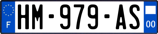 HM-979-AS