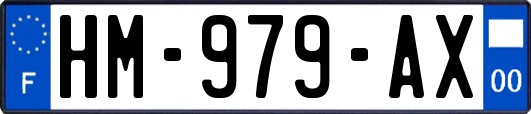 HM-979-AX