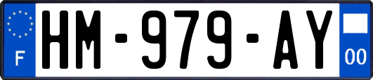 HM-979-AY