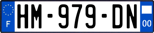 HM-979-DN