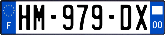 HM-979-DX