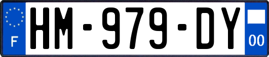 HM-979-DY