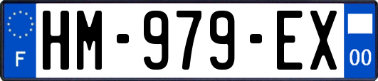 HM-979-EX