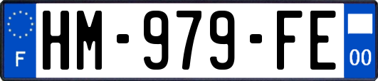HM-979-FE